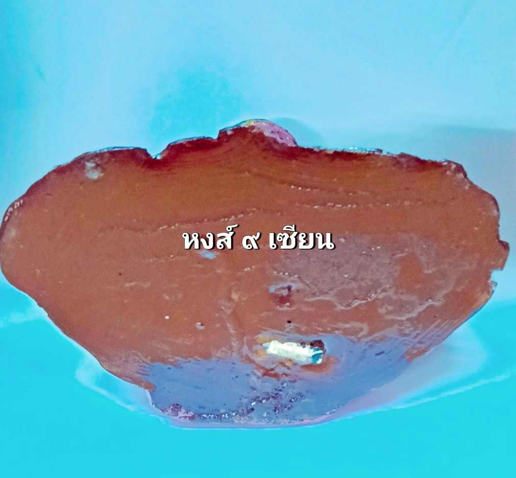 3d398d87-7dd0-4e4a-a6c8-cee84833f2fa.jpg