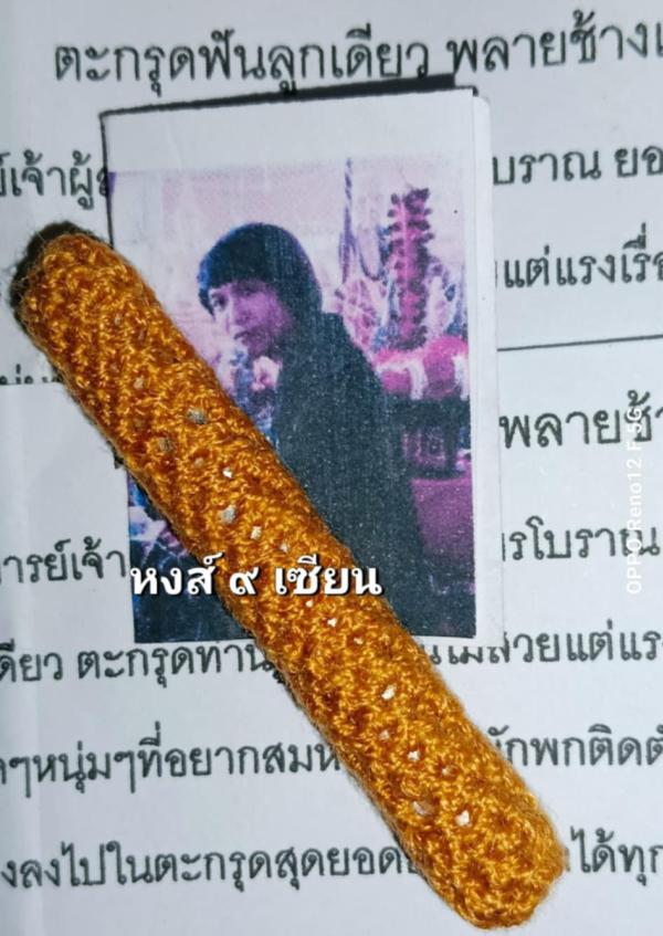 ตะกรุดฟันลูกเดียว พลายช้างแย้มมนต์ช้างผสมโขลงมหาเสน่ห์   ( ชุดตะกรุด ยุคเก่า )   อาจารย์ ทรง