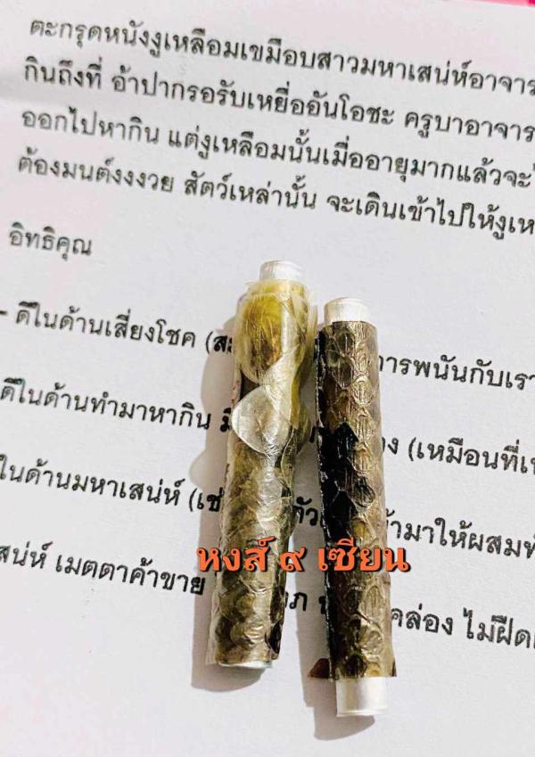 ตะกรุดหนังงูเหลือมตายพราย อาจารย์ปู่อี๋  