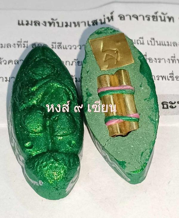 แมลงทับมหาเสน่ห์  อาจารย์นัท ยันต์พันล้าน 2567