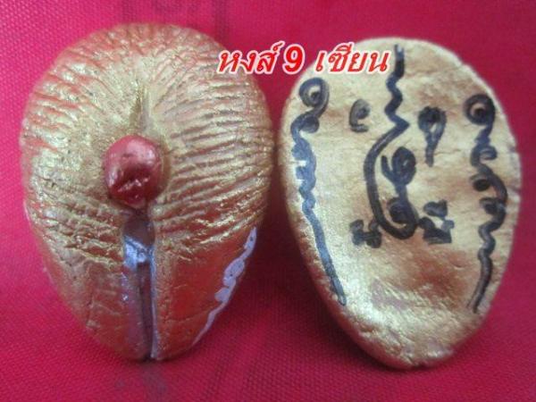 โยนี ดูดทรัพย์ หลวงปู่ครูบาคำเป็ง