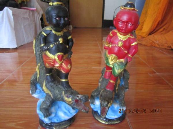กุมารขี่จารเข้ มีสองสี พระอาจารย์ มานิด วัดหนองแคนเจริญผล 