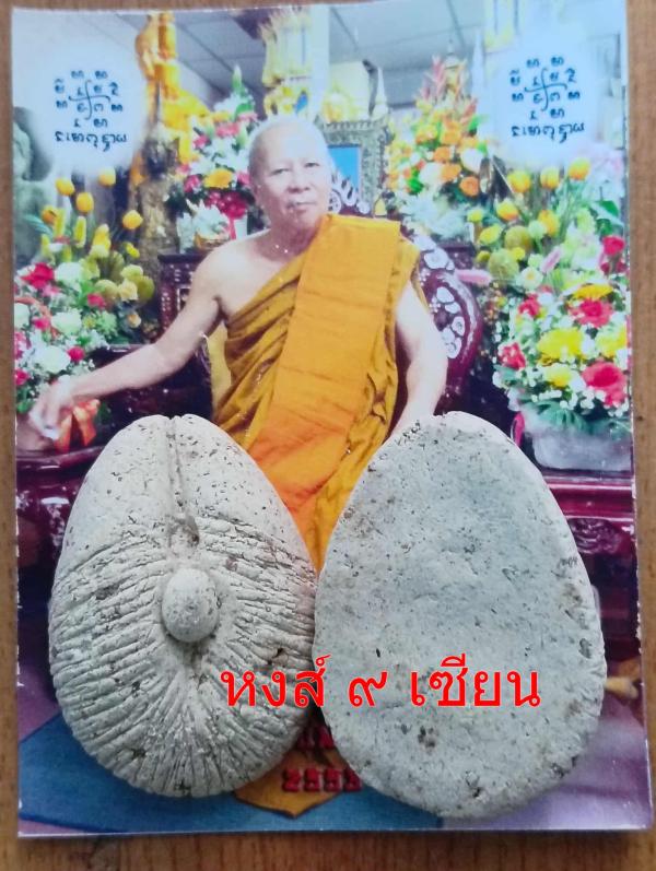 โยนี กำเนิด สีขาว หลวงปู่ครูบาคำเป็ง จ.กำแพงเพชร