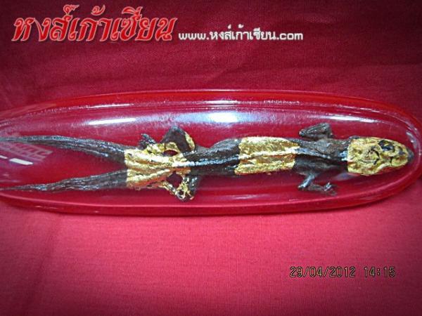 จิ้งจกสองหาง ตัวจริง ตายธรรมชาติ ปลุกเสก ผ่านพิธี มาแล้ว อาจารย์ เทพ พงศาวดาร