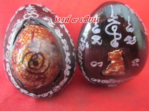 เบี้ยแก้สารพัดกัน ด้านหลังฝัง เสือ จารยันต์ ( สร้างแค่99 ลูก ) รุ่นมหานิยม มากประสบการณ์ ดีจริง ขลังจริง หลวงปู่อั๊บ วัดท้องไทร จ.นครปฐม