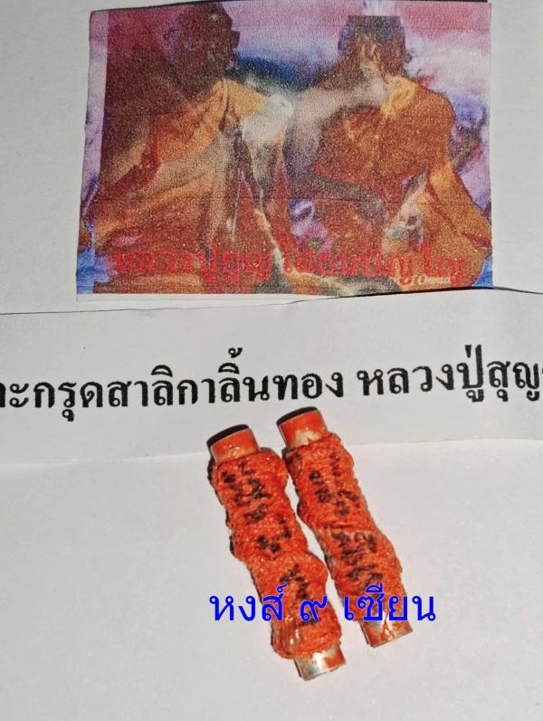 ตะกรุดสาลิกาลิ้นทอง หลวงปู่สุญญะเมตตา        