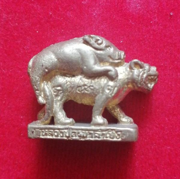 หมูขี่เสือ ลอยองค์ ขนาด1นิ้ว หลวงปู่ครูบาคำเป็ง ฐิตปัญโญ อาศรมสุขาวดี จ.กำแพงเพชร