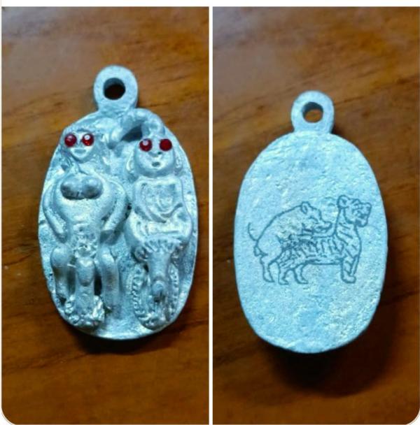 พ่องั่งแม่เป๋อ  หลังหมูเสพเสือ เนื้อโลหะ หลวงปู่ครูคำเป็ง ฐิตปัญโญ อาศรมสุขาวดีวราราม จ.กำแพงเพชร