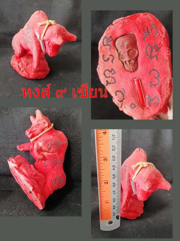 วัวธนูกระทิง แดง  มหาอาคม   (ขนาดบูชา สูง 3 นิ้ว )   อาจารย์ปู่อี๋