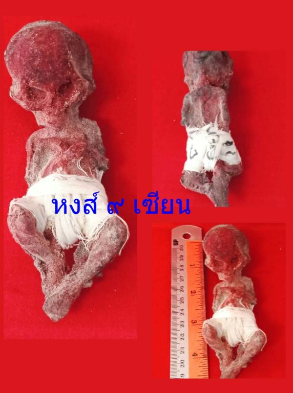 พรายเก้าโกฏิ ลูกกรอกเนื้อผงว่านและผงไม้อาถรรพ์ เสกด้วยพระคาถาเก้าโกฎิ อาจารย์ปานเทพ มหาภูติ