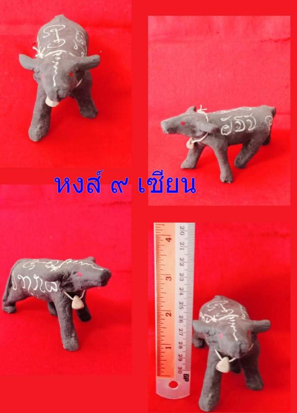 ควายธนูปู่เจ้าสมิงพราย  (อาจารย์เสือ สมิง) พราย สูง 3 นิ้ว ยาว 5 นิ้ว