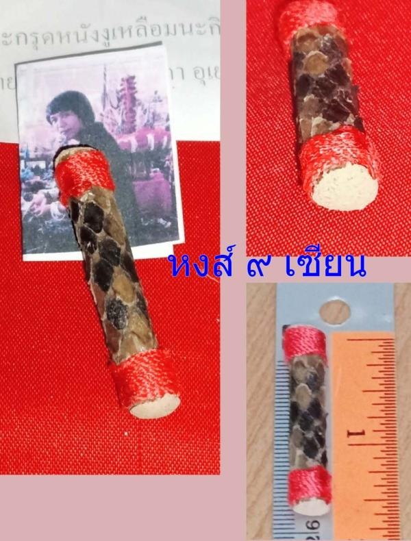 ตะกรุดกามคุณหมาเข้าไส้ อุดผงหมากินความคิดอาจารย์เวทย์สุรินทร์เมตตาเสกให้