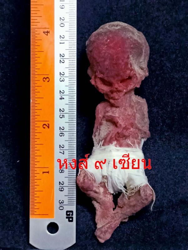  ลูกกรอก พรายเก้าโกฏิ  ( ขนาดบูชา สูง 4 นิ้ว  )  อาจารย์ปานเทพ มหาภูติ        