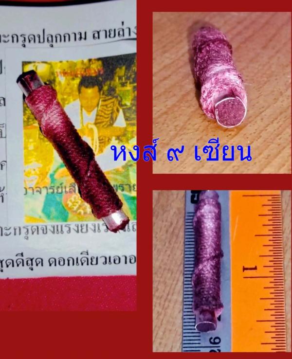 ตะกรุดปลุกกาม สายล่างมหาเสน่ห์ รุ่นแมงดาปีกทอง เสือ สมิง