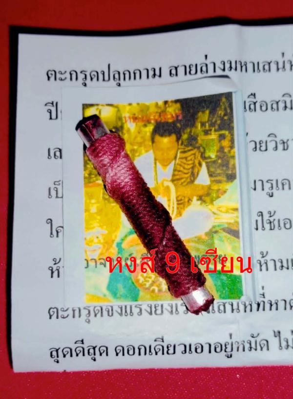 ตะกรุดปลุกกาม สายล่างมหาเสน่ห์ รุ่นแมงดาปีกทอง เสือ สมิง