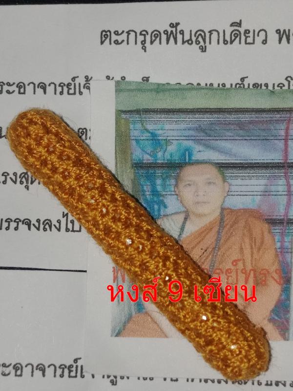 ตะกรุดฟันลูกเดียว พลายช้างแย้มมนต์ช้างผสมโขลงมหาเสน่ห์ ( ชุดตะกรุด ยุคเก่า ) อาจารย์ ทรง
